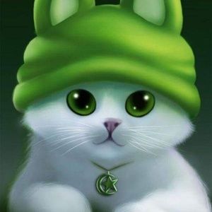 Meet your Posher, Roberta